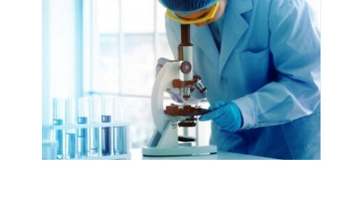 इजरायली वैज्ञानिकों की खोज : खास इम्यून सेल रोक सकती है उम्र बढ़ने की रफ्तार